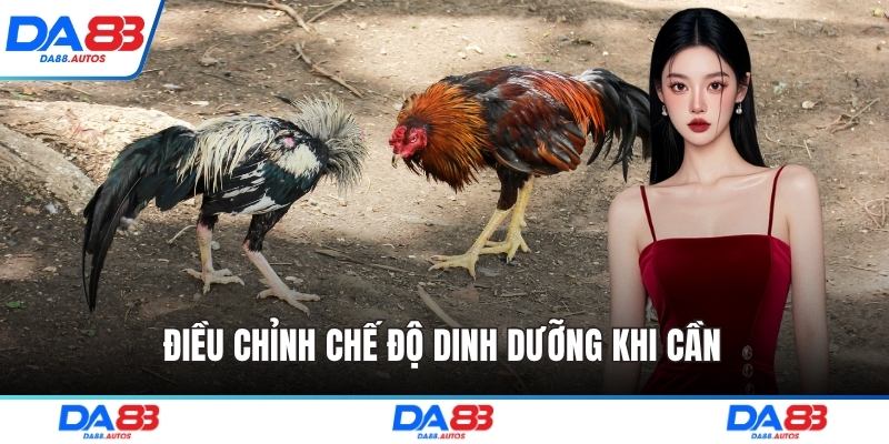 Điều chỉnh chế độ dinh dưỡng khi cần 