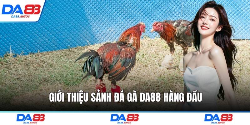 Giới thiệu sảnh đá gà DA88 hàng đầu