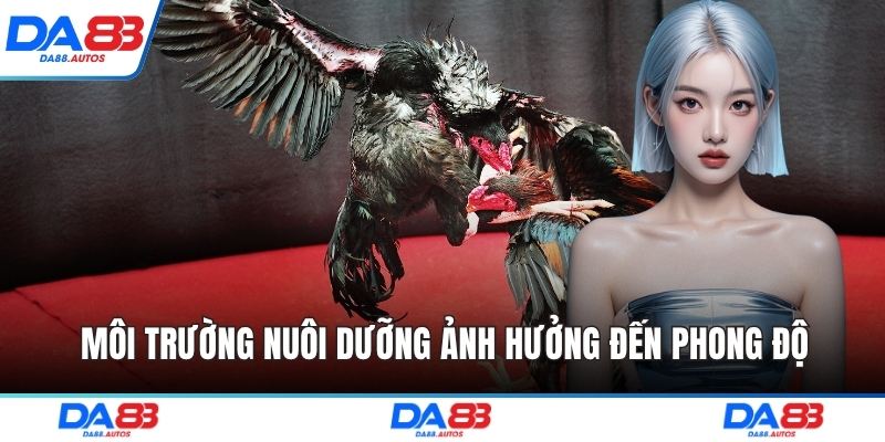 Môi trường nuôi dưỡng ảnh hưởng đến phong độ