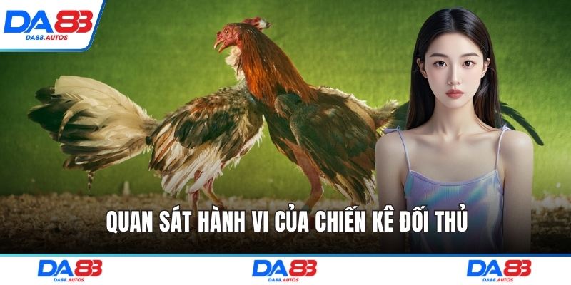 Quan sát hành vi của chiến kê đối thủ