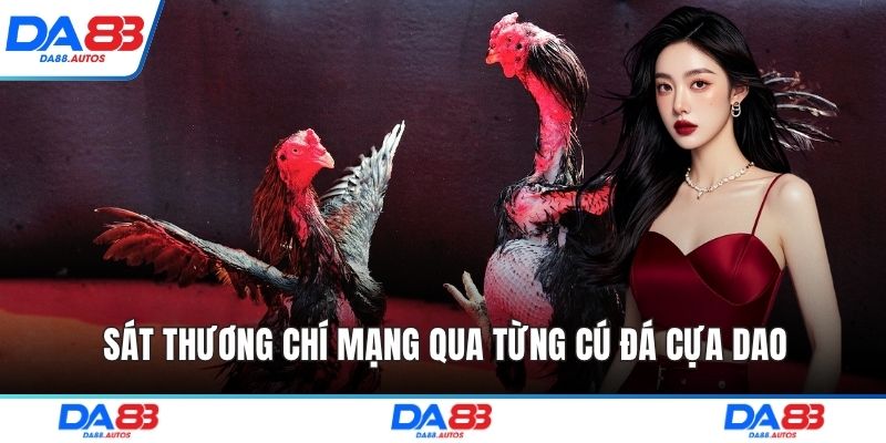 Sát thương chí mạng qua từng cú đá cựa dao