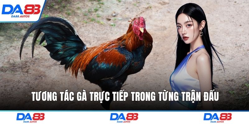 Tương tác gà trực tiếp trong từng trận đấu